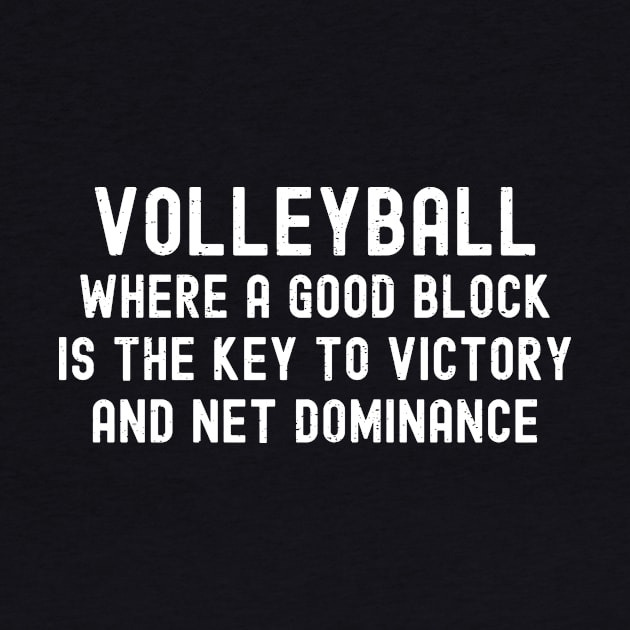 Volleyball Where a good block is the key to victory and net dominance by trendynoize